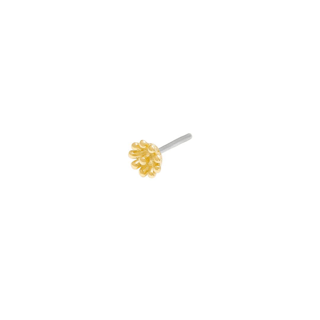Flutter Pin - 14K Gold Floral Threadless End - piercing - zone.com