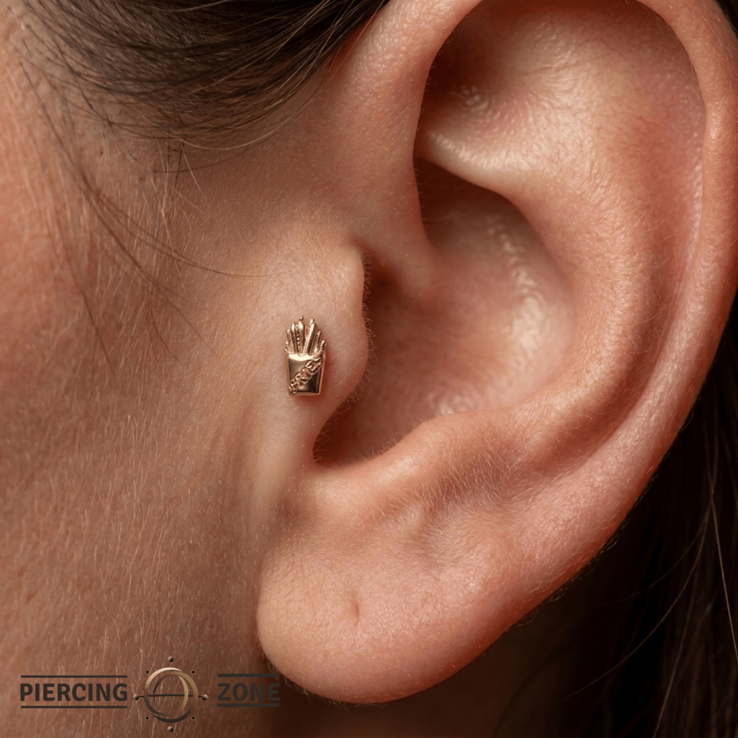 Fries – 14K Gold Threadless/Threaded End - piercing - zone.com