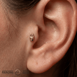 Fries – 14K Gold Threadless/Threaded End - piercing - zone.com