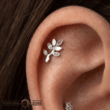 Frond Arc – Leaf Silhouette – 14K Gold Threadless End - piercing - zone.com