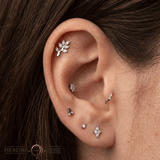 Frond Arc – Leaf Silhouette – 14K Gold Threadless End - piercing - zone.com
