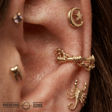 Fury – Barbed Chain – 14K Gold Clicker Ring - piercing - zone.com