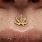 Ganja – 14K Gold Cannabis Leaf Threadless End - piercing - zone.com