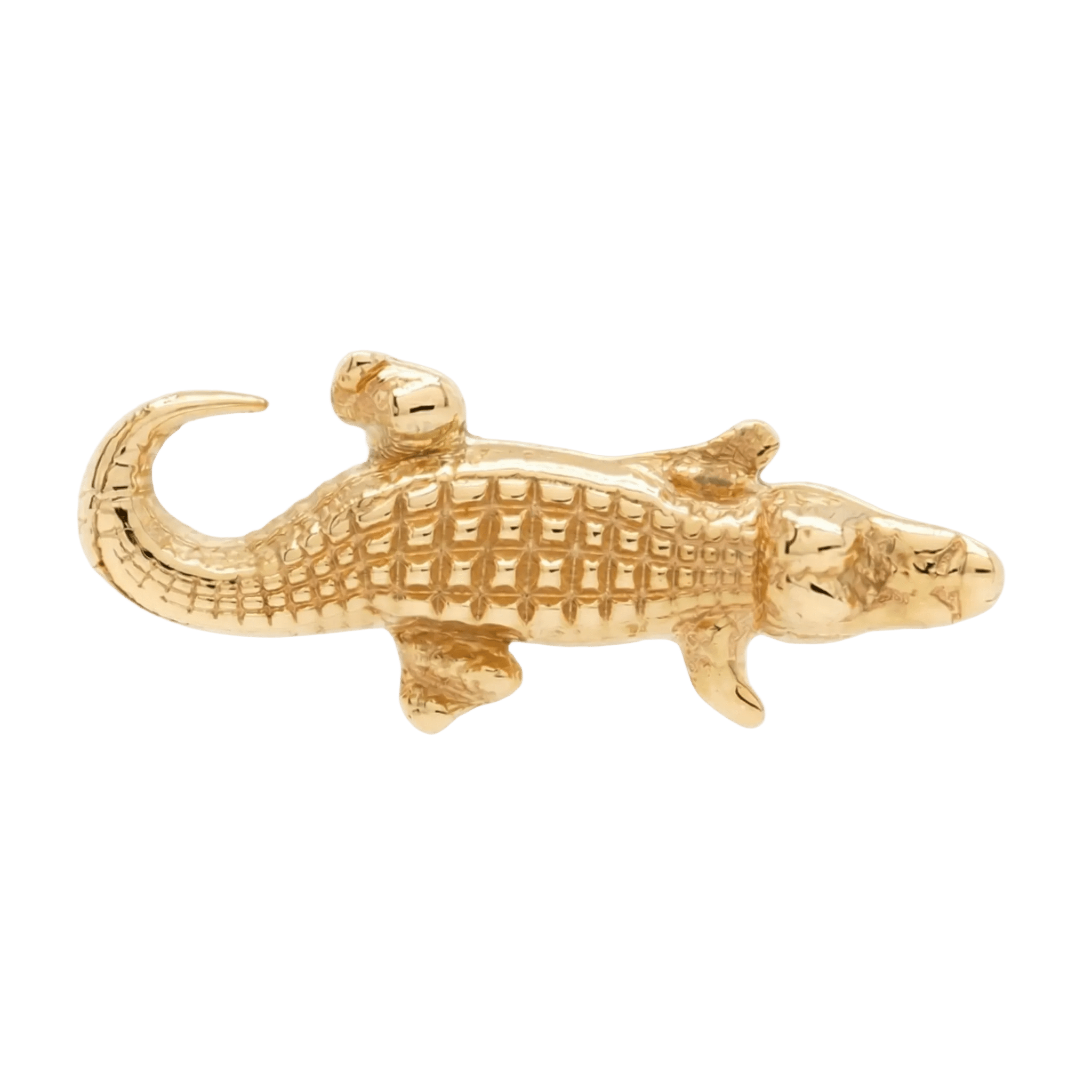 Gator – 14K Gold Threadless/Threaded End - piercing - zone.com