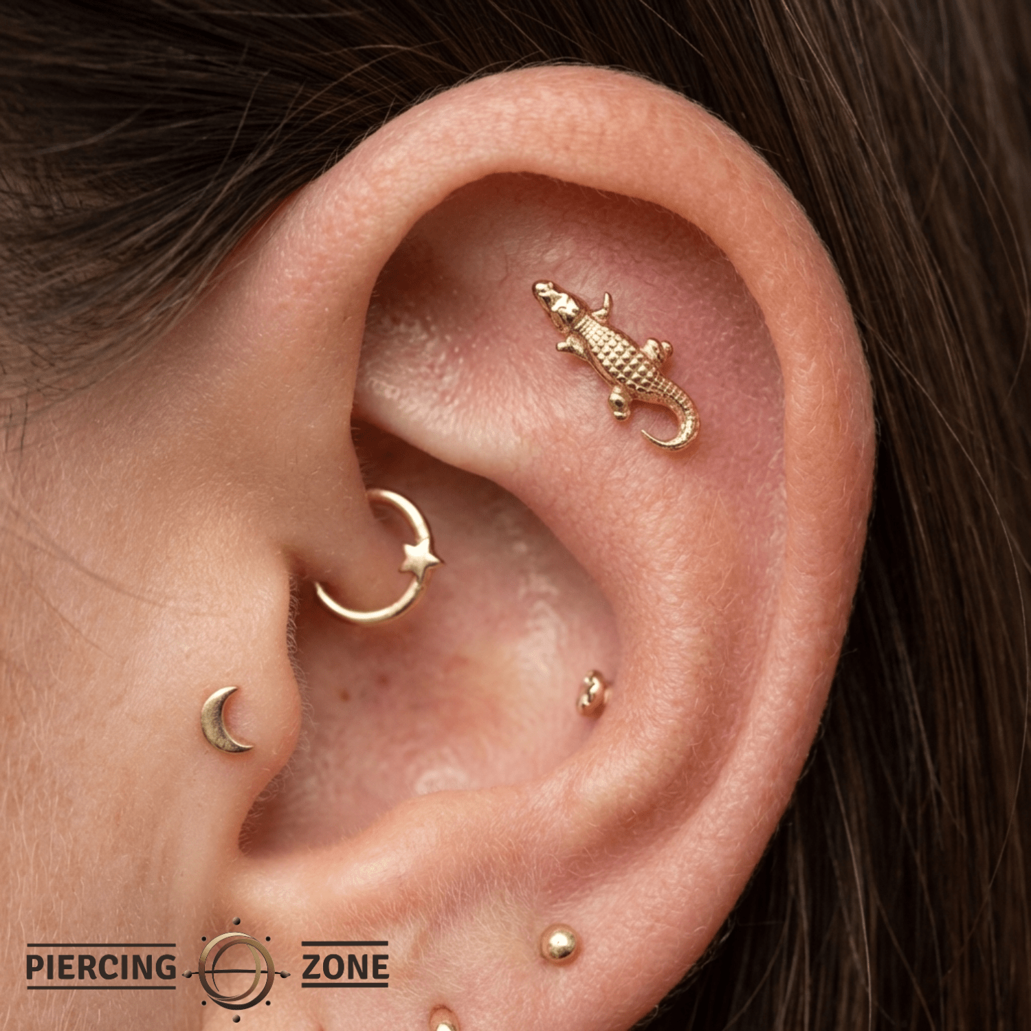 Gator – 14K Gold Threadless/Threaded End - piercing - zone.com