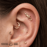Gator – 14K Gold Threadless/Threaded End - piercing - zone.com