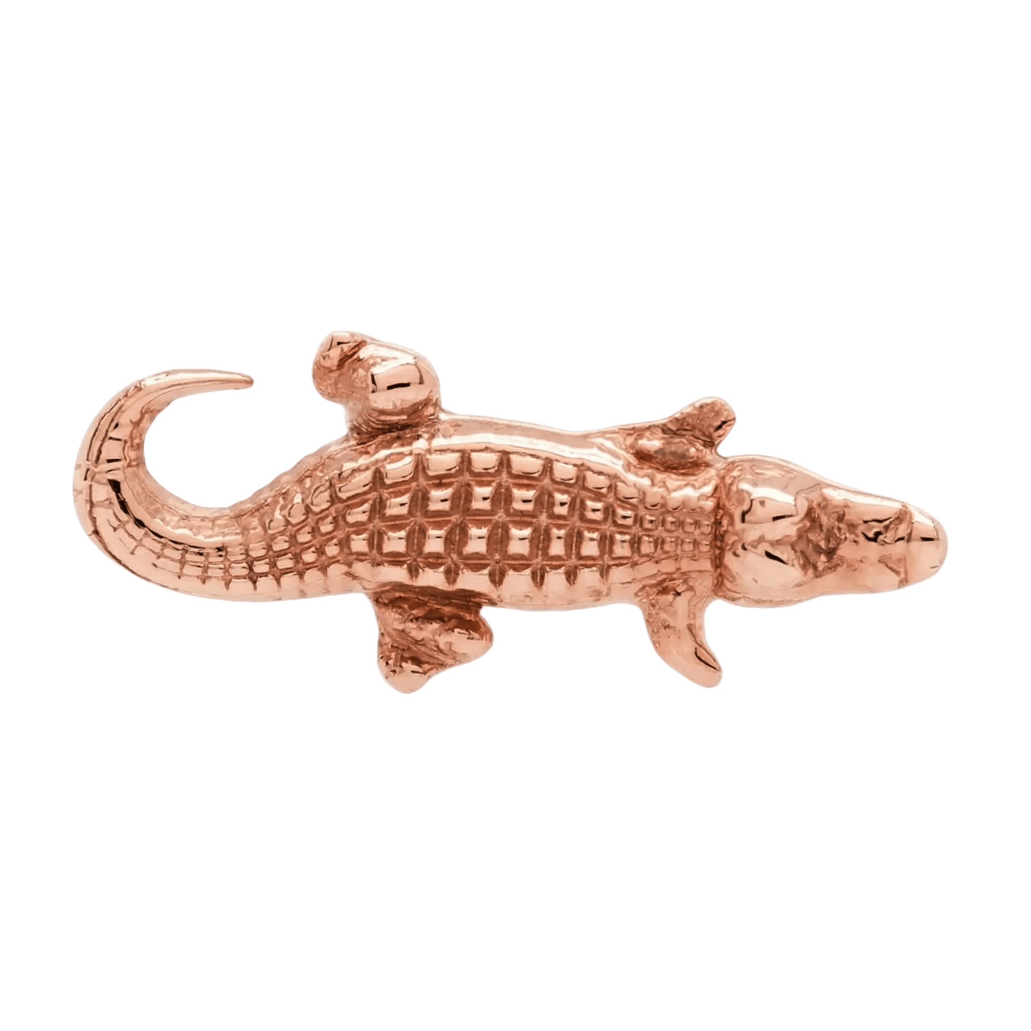Gator – 14K Gold Threadless/Threaded End - piercing - zone.com