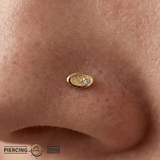 Gemmed Oval – 14K Gold Threadless/Threaded End - piercing - zone.com