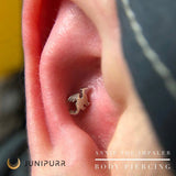 Gold Dragon – Mythic Silhouette – 14K Gold Threadless End - piercing - zone.com