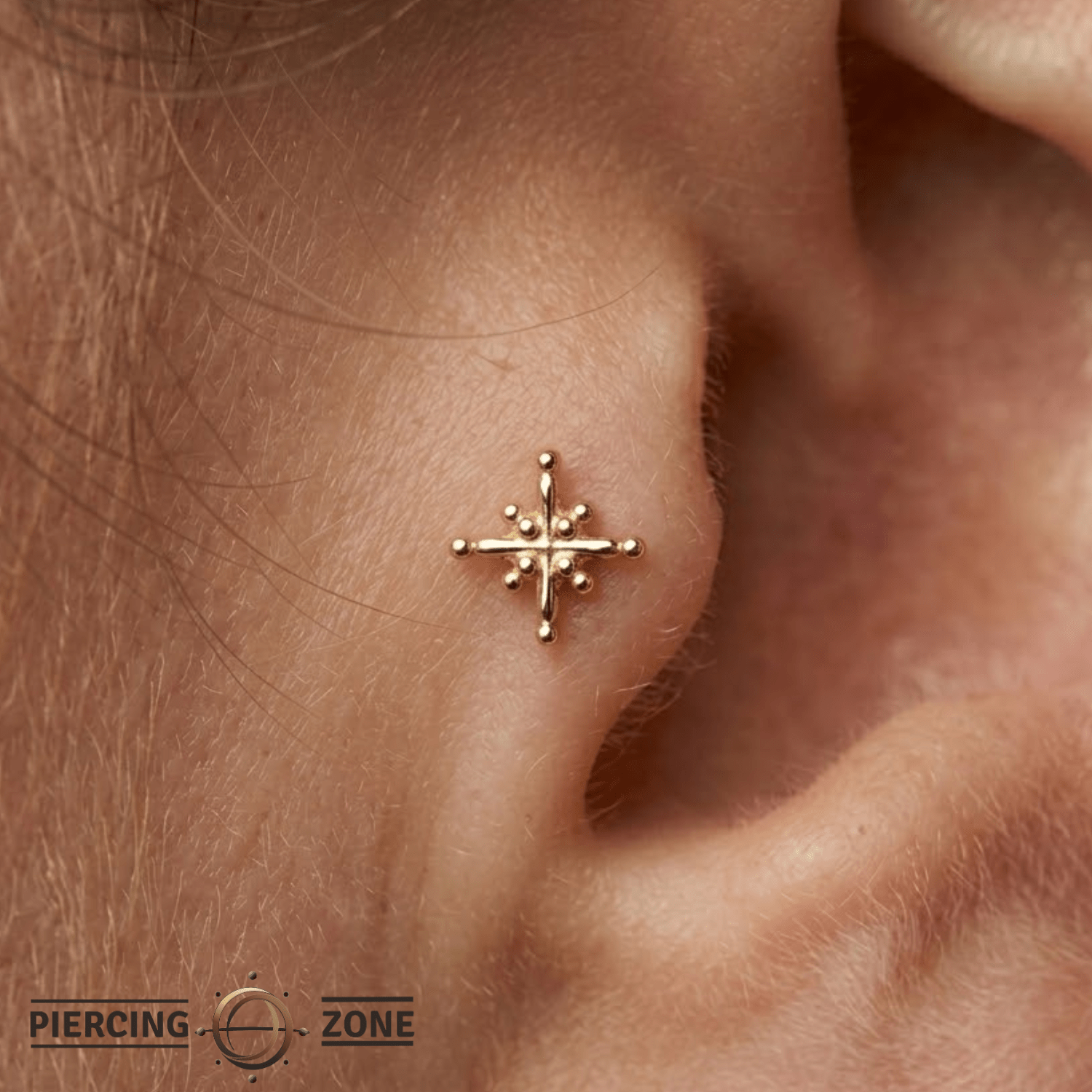 Gold Dust Pin - 14K Gold Threadless End - piercing - zone.com