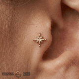 Gold Dust Pin - 14K Gold Threadless End - piercing - zone.com
