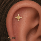 Gold Dust Pin - 14K Gold Threadless End - piercing - zone.com