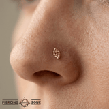 Goldblooded – Marquise Cut – 14K Gold Threadless End - piercing - zone.com