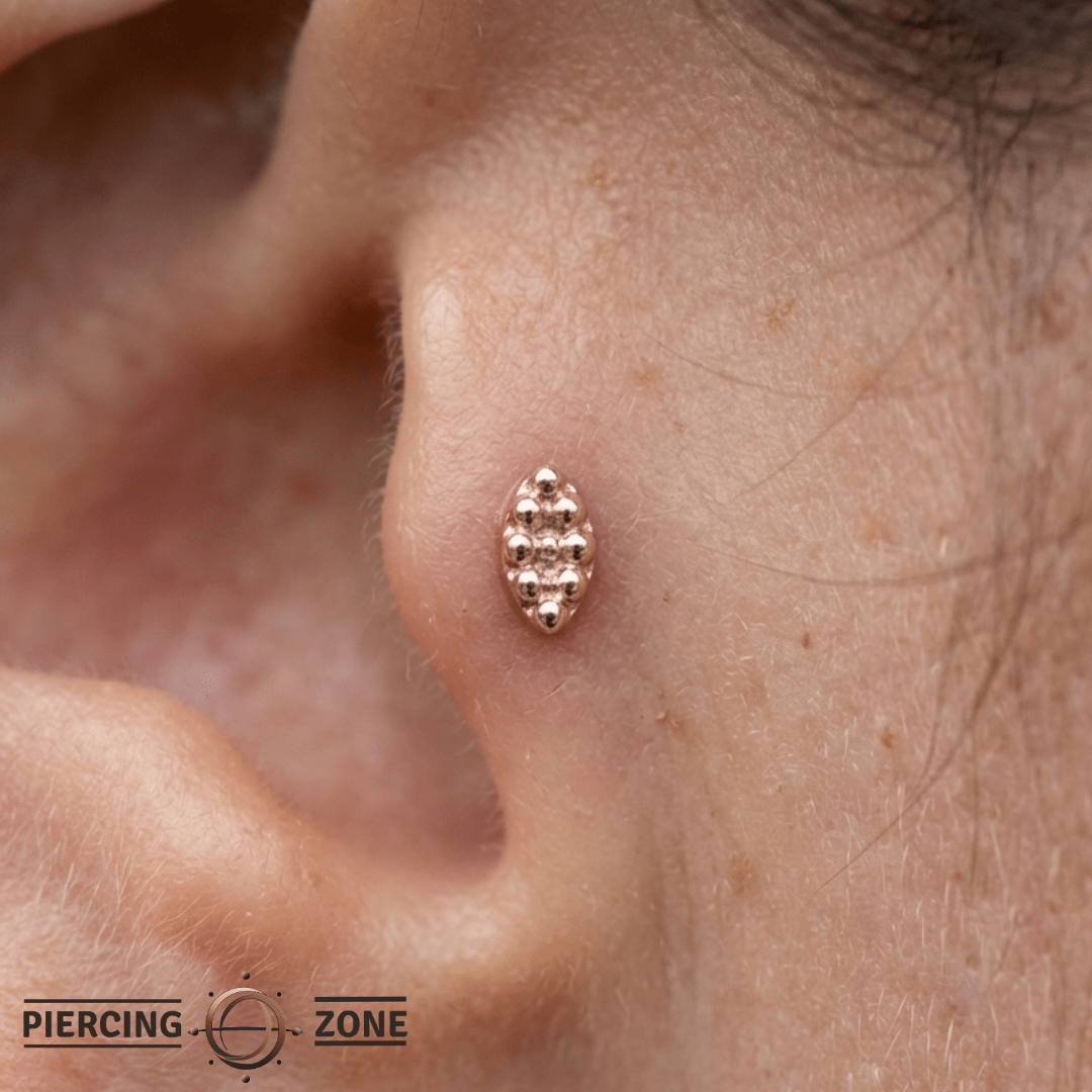 Goldblooded – Marquise Cut – 14K Gold Threadless End - piercing - zone.com