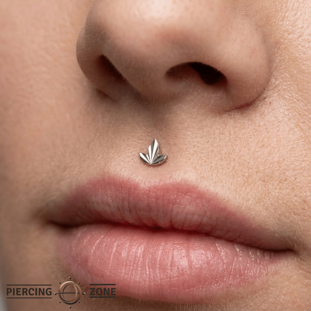 Goldleaf – Diamond - Etched – 14K Gold Threadless End - piercing - zone.com
