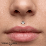 Goldleaf – Diamond - Etched – 14K Gold Threadless End - piercing - zone.com