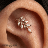Growth – CZ Floral Arc – 14K Gold Threadless End - piercing - zone.com