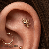 Half Lattice - 18K Gold Threadless End - piercing-zone.com