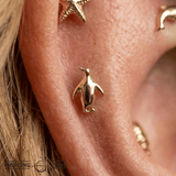 Happy Feet – 14K Gold Penguin Threadless End - piercing - zone.com