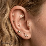Happy Feet – 14K Gold Penguin Threadless End - piercing - zone.com