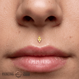 Harlequin Pin - 14K Gold Geometric Threadless End - piercing - zone.com