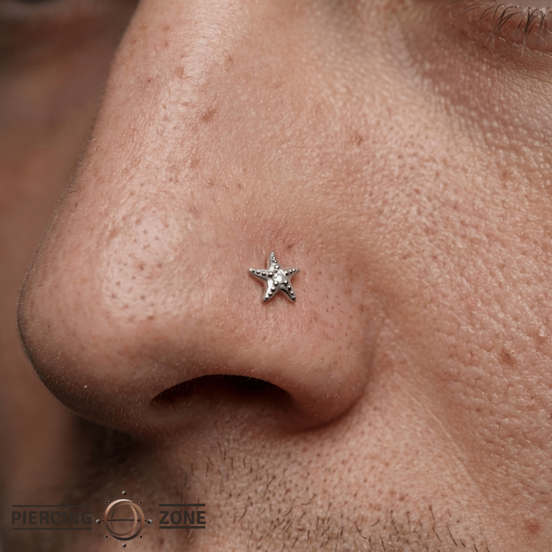 Hoku Star – 14K Gold Diamond Threadless End - piercing - zone.com