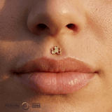 Honeycomb – 14K Gold Threadless/Threaded End - piercing - zone.com