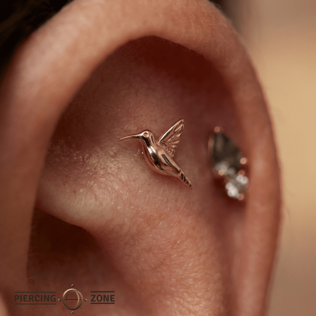 Humming Bird – 14K Gold Threadless/Threaded End - piercing - zone.com