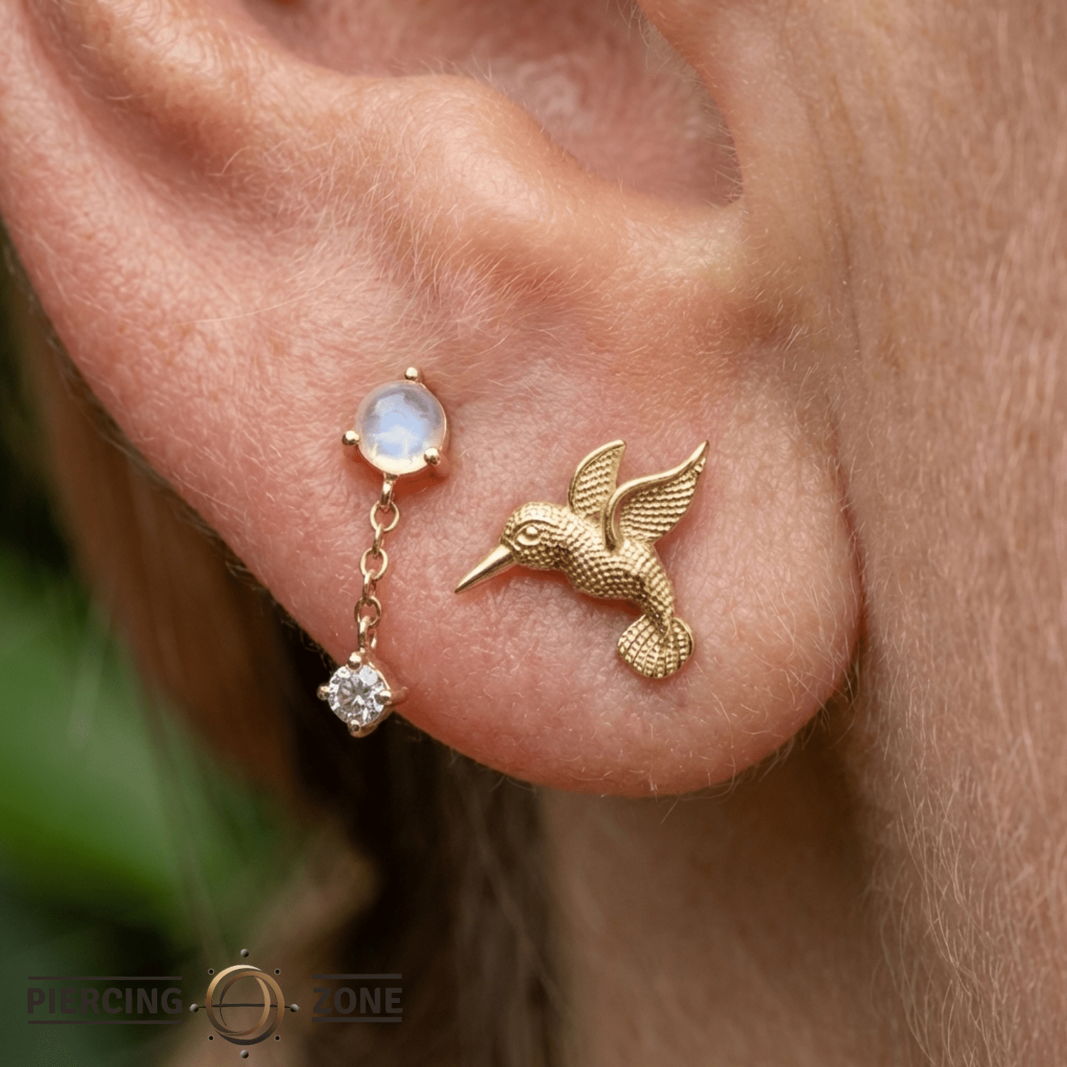 Hummingbird – 14K Gold Threadless/Threaded End - piercing - zone.com
