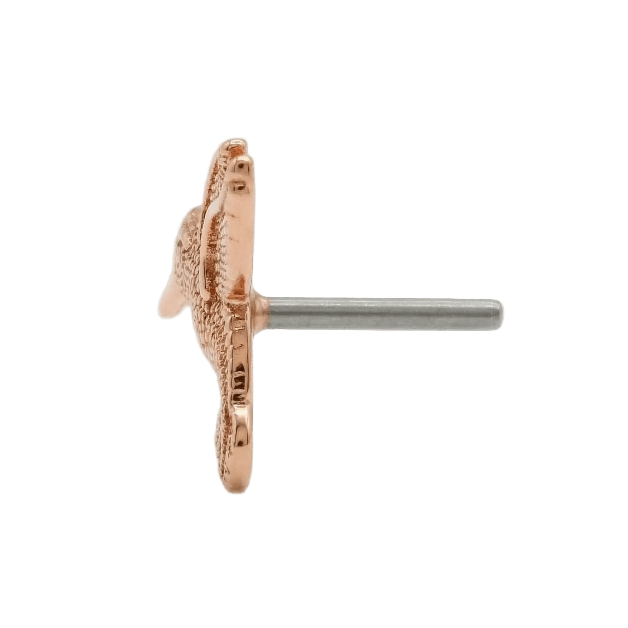 Hummingbird – 14K Gold Threadless/Threaded End - piercing - zone.com