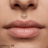 Idris – 14K Gold Threadless/Threaded End - piercing - zone.com