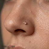 Jasmine – 14K Gold Threadless/Threaded End - piercing - zone.com