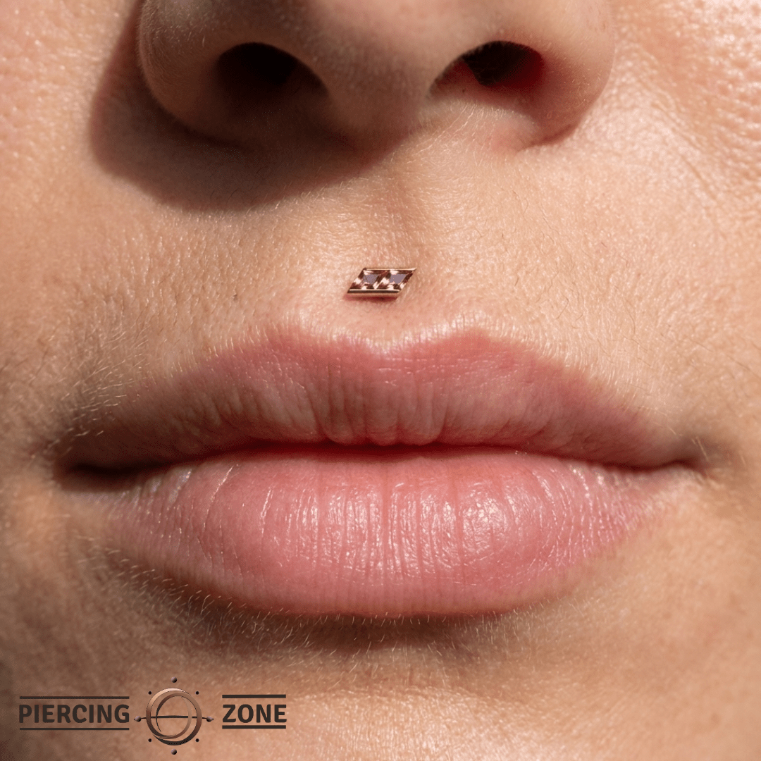 Joia – Garnet – 14K Gold Threadless End - piercing - zone.com