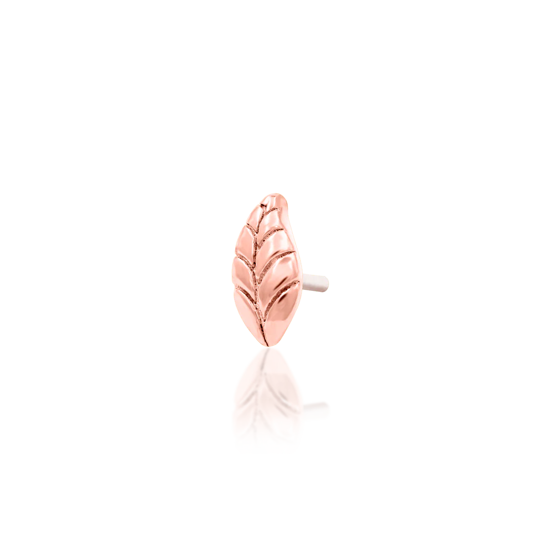 Verity-14K Gold 