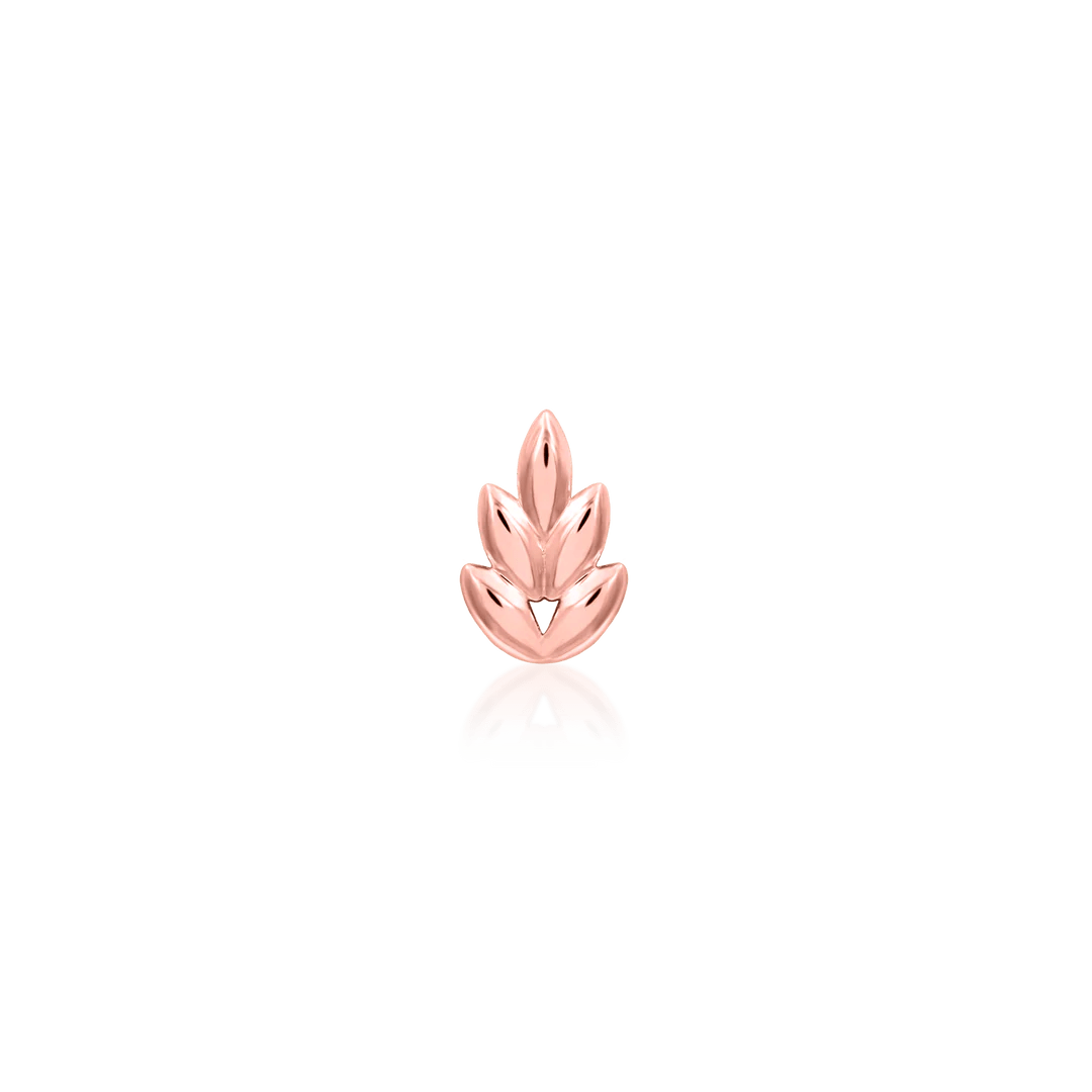 FERNANDA-14K GOLD piercing-zone.com