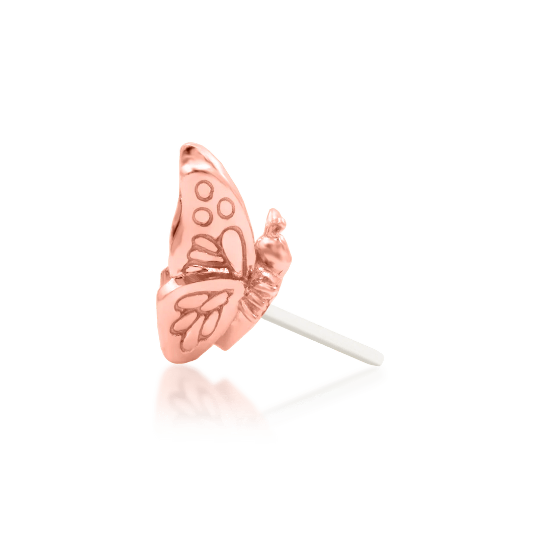 Madam Butterfly 14K Gold Threadless End in butterfly shape – front studio view