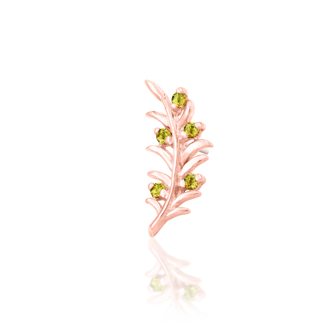 Olive Branch – Peridot CZ Curve – 14K Gold Threadless End