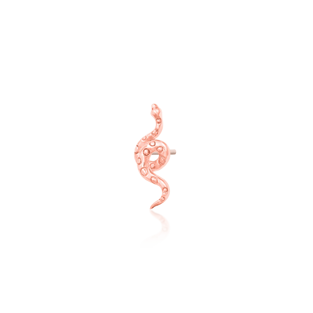 TEXTURED SNAKE-14K GOLD piercing-zone.com