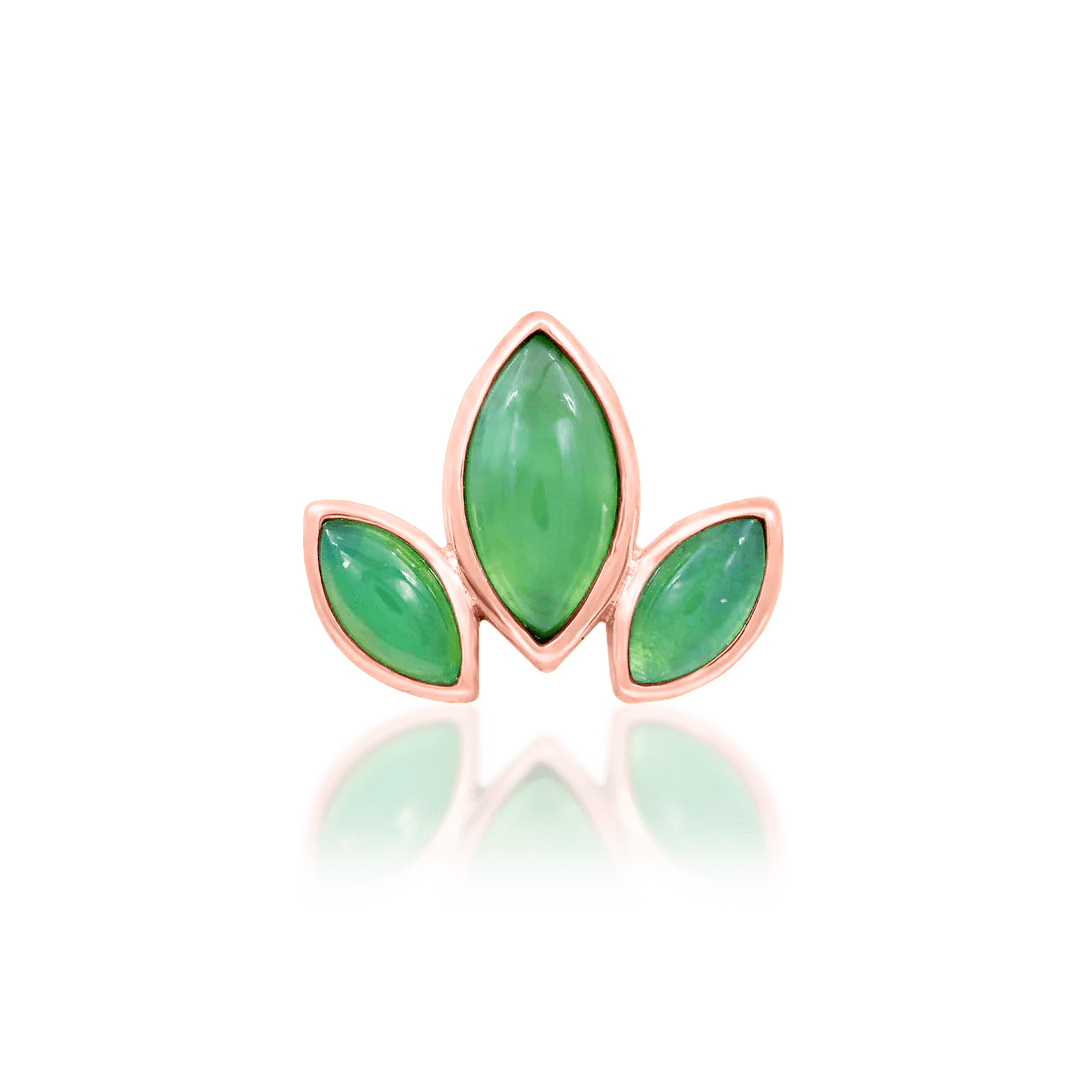 VENIS - 14K GOLD piercing-zone.com