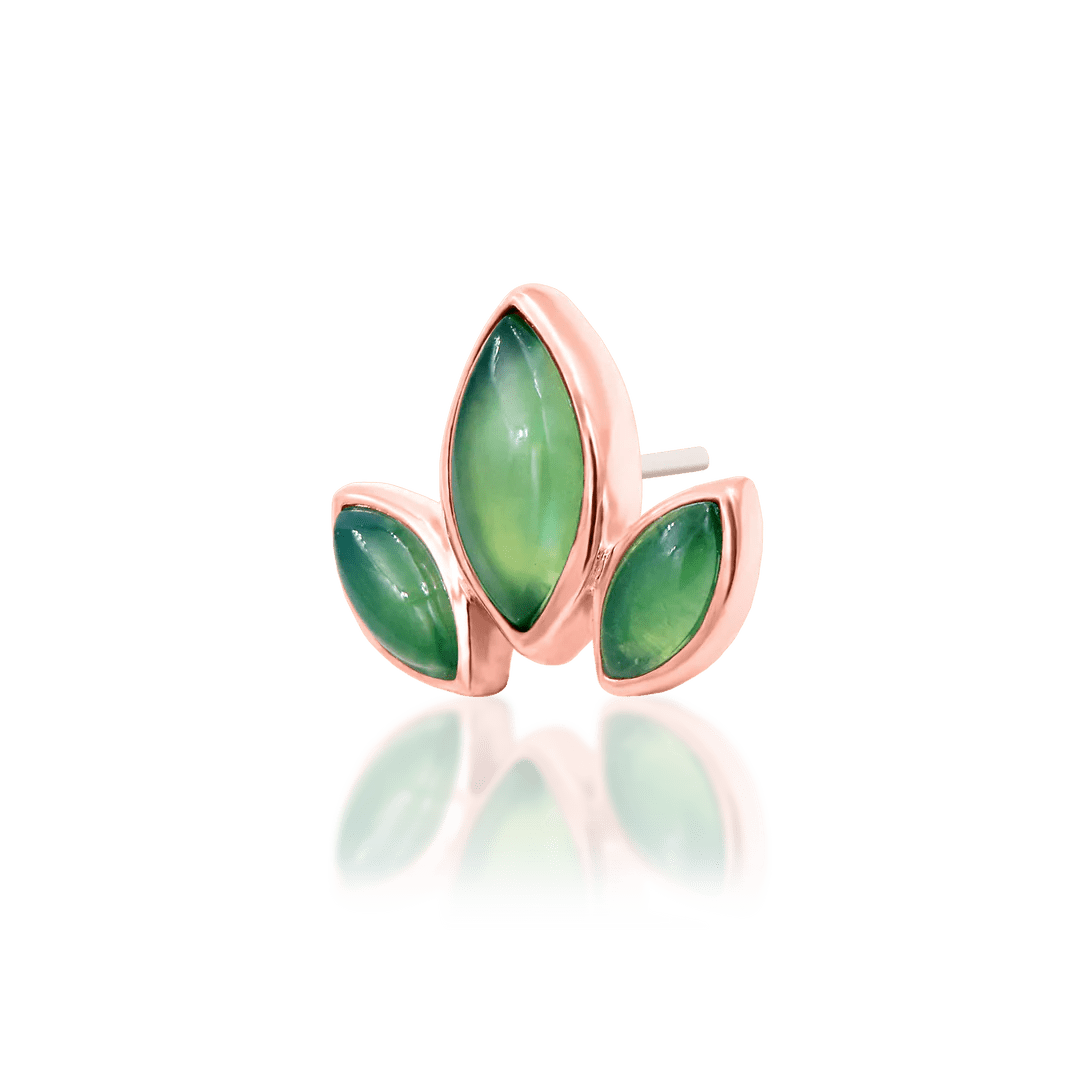 VENIS - 14K GOLD piercing-zone.com