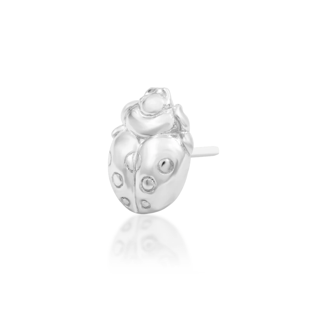 M'Lady Charm Styled in Conch Piercing with Gold Stack