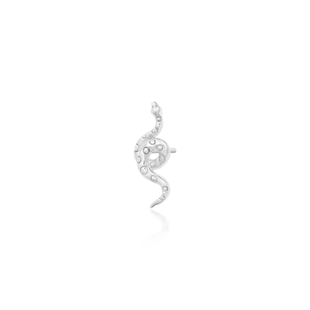 TEXTURED SNAKE-14K GOLD piercing-zone.com