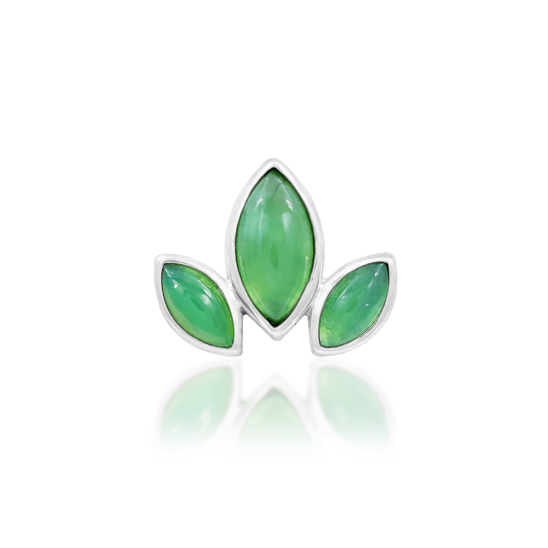 VENIS - 14K GOLD piercing-zone.com