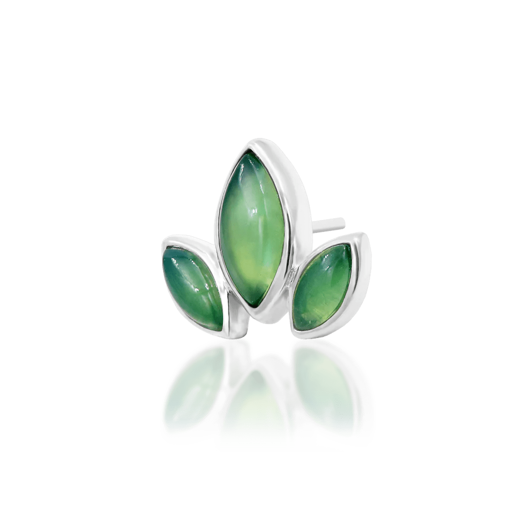 VENIS - 14K GOLD piercing-zone.com