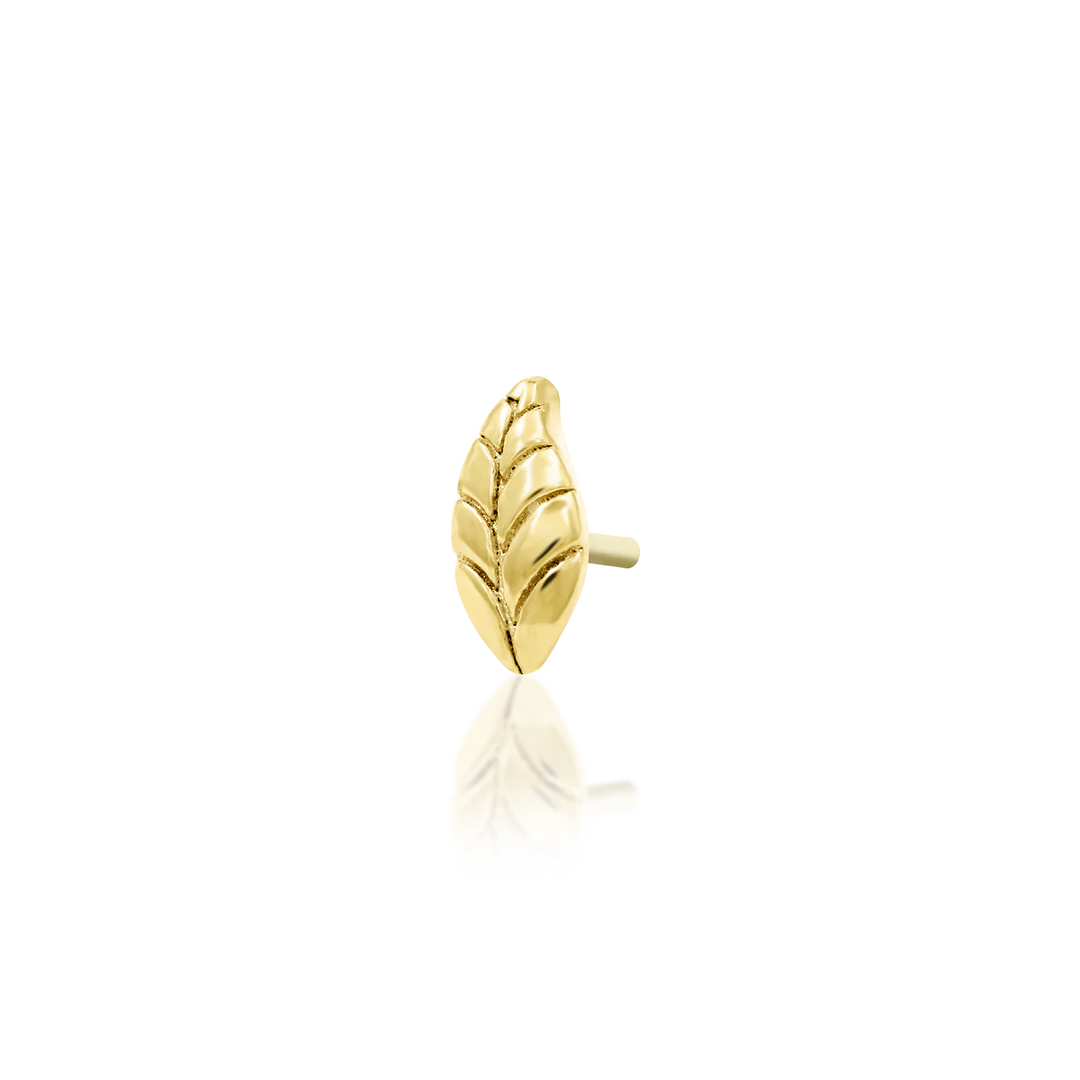 Verity-14K Gold 