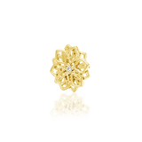 CHLOE-14K GOLD piercing-zone.com