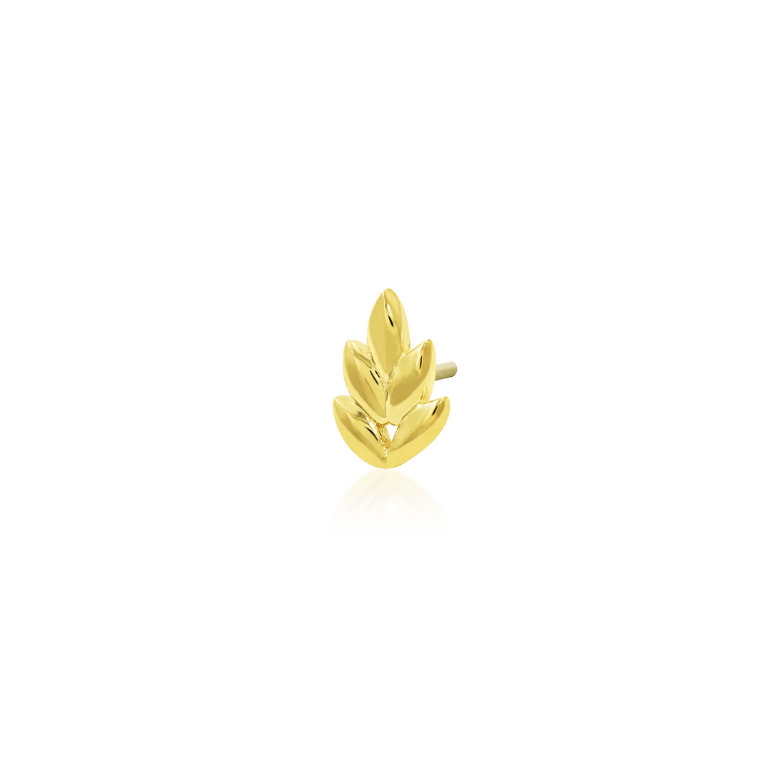 FERNANDA-14K GOLD piercing-zone.com