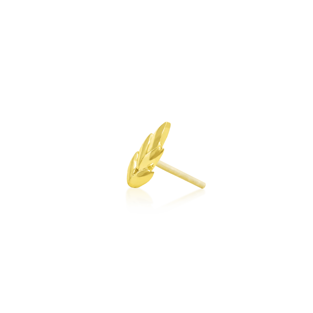 FERNANDA-14K GOLD piercing-zone.com