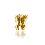 Side View of Madam Butterfly Showing Wing Symmetry