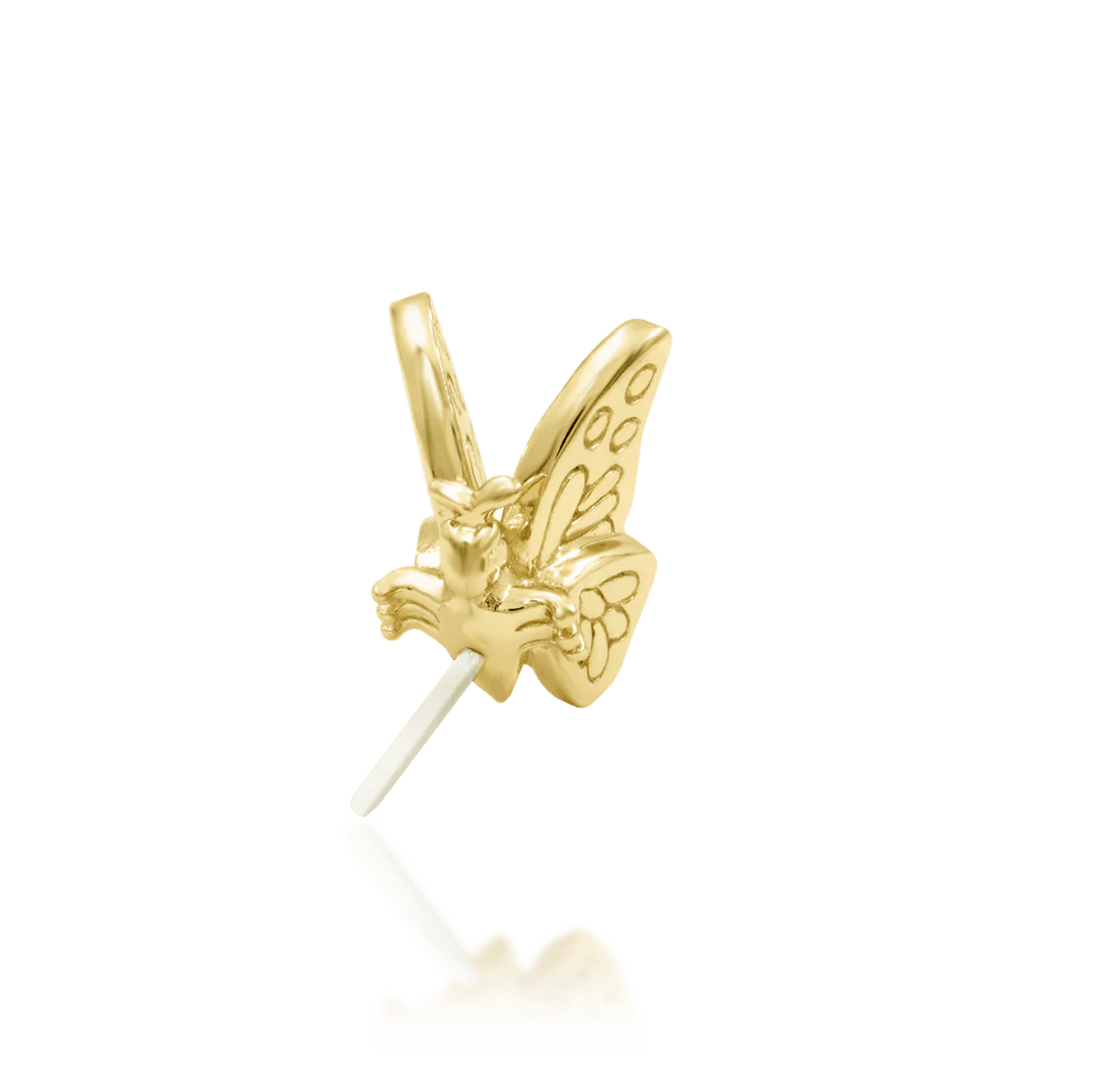 Sculptural Butterfly Design in Yellow Gold – Studio Shot